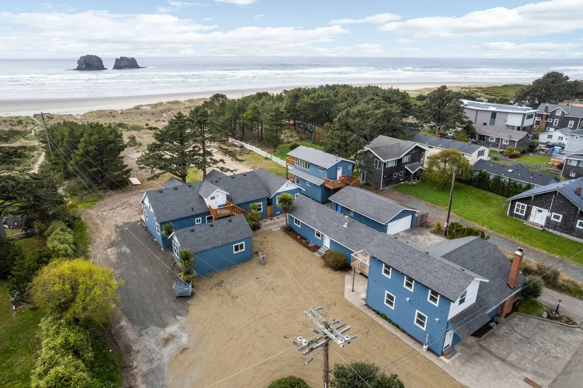 This image captures a wide view of several houses nestled near the coast, with the ocean, sand, trees, and unique rock formations visible in the background. The open sandy area and beach setting evoke a sense of freedom and outdoor adventure. The landscape is perfect for playful activities like frisbee with pets and scenic walks along the shore.