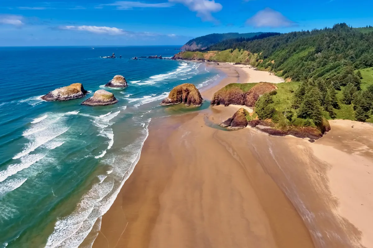 A broad perspective of the coastline with dramatic rock formations, a wide sandy beach, gentle waves, and lush greenery in the background. The scene feels peaceful and invites exploration, echoing opportunities for wildlife observation and tide pool discovery.